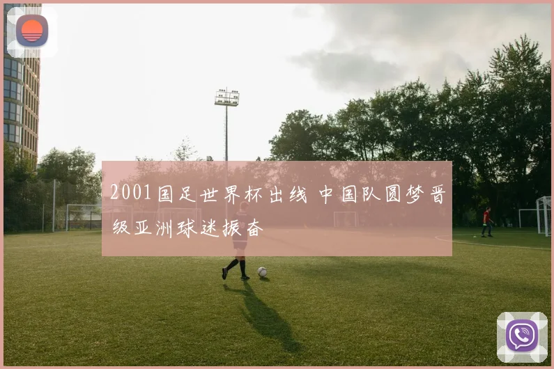 2001国足世界杯出线 中国队圆梦晋级亚洲球迷振奋